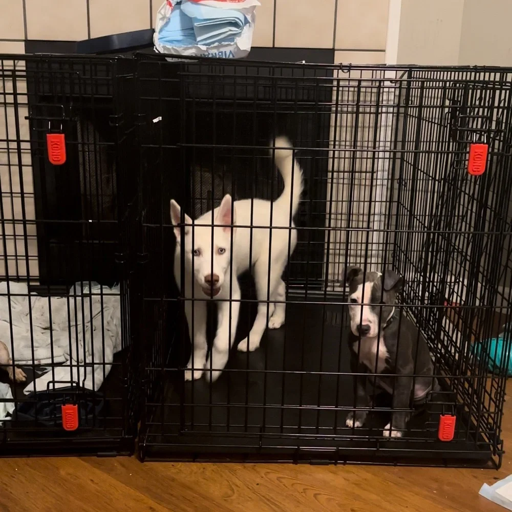 KONG XL DOG KENNEL